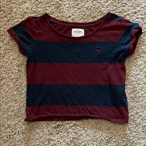 Abercrombie Kids Maroon and Navy Short Sleeve Cropped Tee